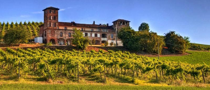 A villa and vineyard in Piedmont, northern Italy
