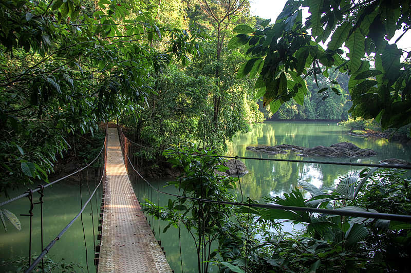 Travel through the trees with the whole family on the Arenal's suspension bridges