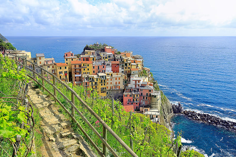 Pathway thru vineyards above Manarola in the Cinque Terre, Italy.