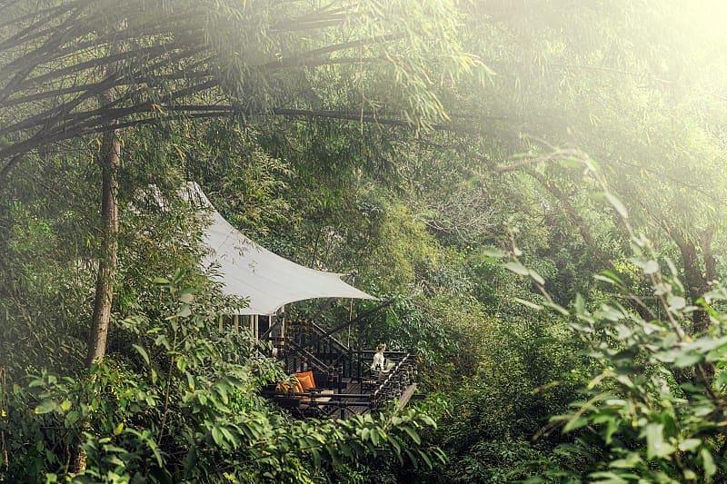 Luxury tent in the Chiang Rai wilderness. Photo courtesy Chiang Rai Four Season Tented Camp Luxury tent in the Chiang Rai wilderness. Photo courtesy Chiang Rai Four Season Tented Camp