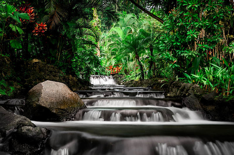 Natural thermal mineral springs at Tabacon Resort and Spa in Costa Rica