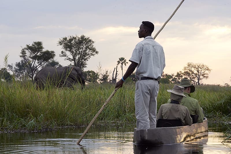 Guided mokoro boat in the Okavango Delta, Botswana.