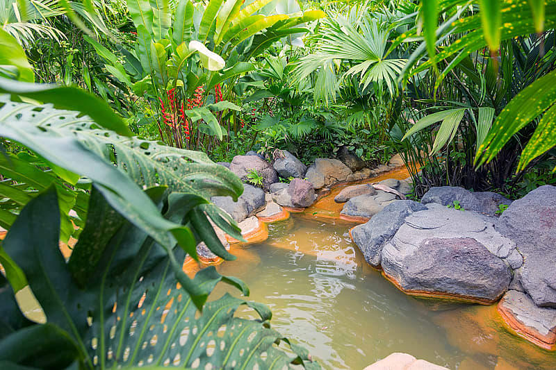 Relax in the natural hot springs of Arenal while inhaling the misty air of the region, Costa Rica
