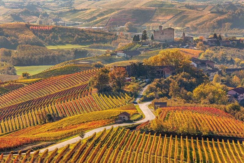 Stunning landscape, vineyards in the hills of Piedmont, Italy