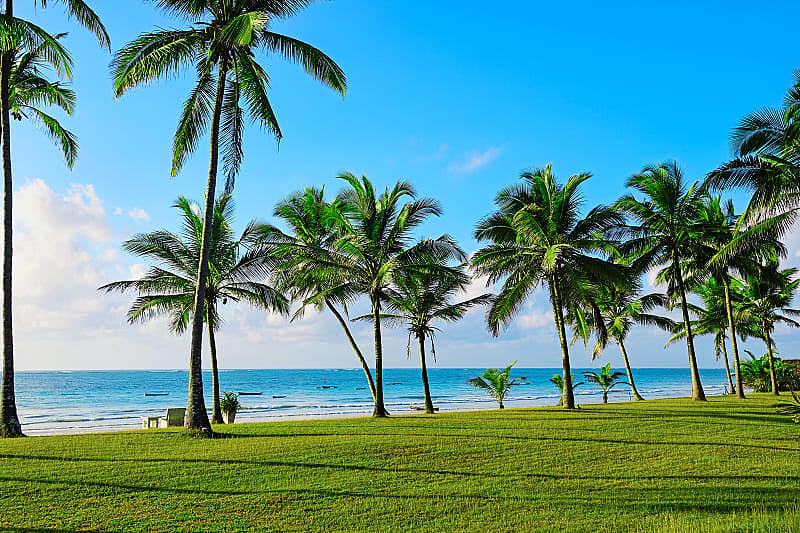 Tropical coast with palm trees and beaches in Diana, Kenya