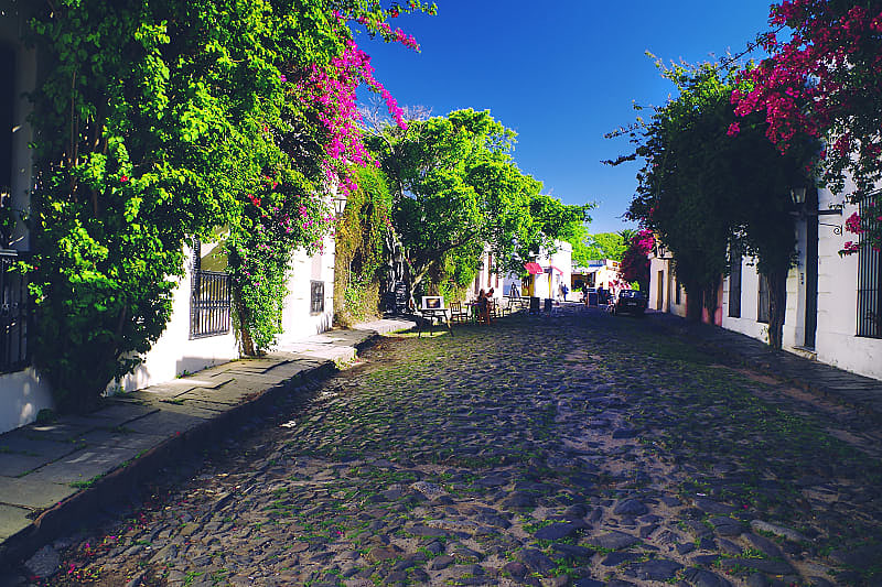 Cobblestone street with lush greenery and flowers in Colonia del Sacramento in Uruguay