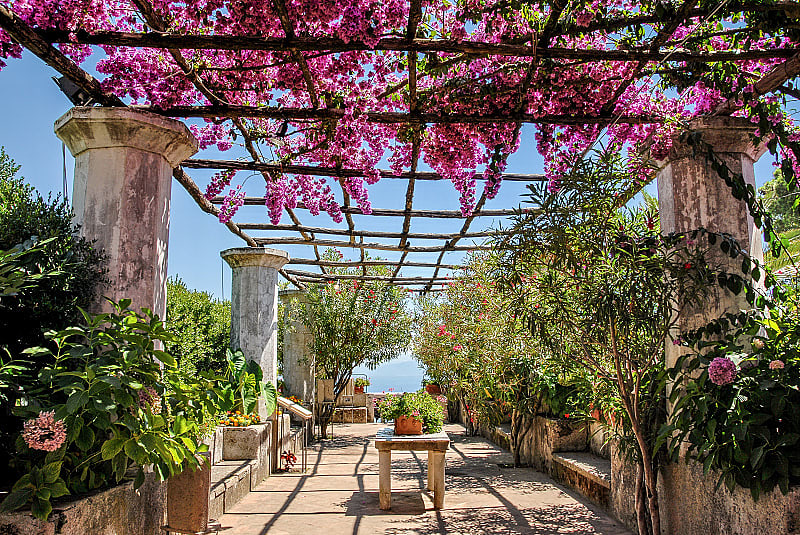 Flowers in bloom at Villa Rufolo in Ravello on the Amalfi Coast, Italy
