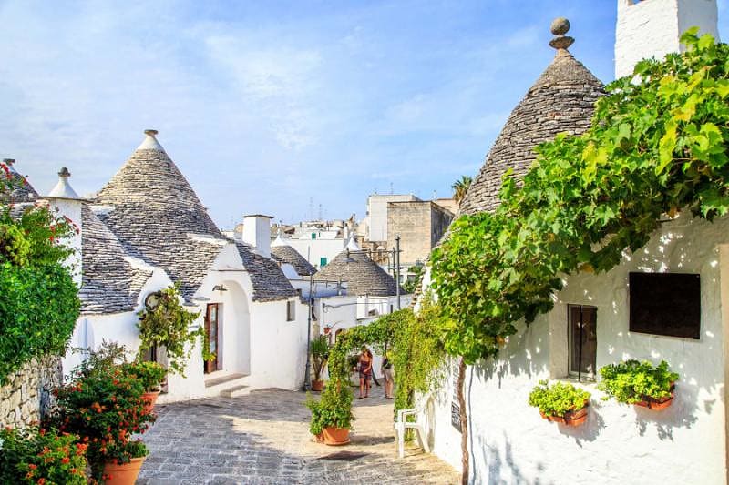 Unique trulli houses under the vine, Albberobello
