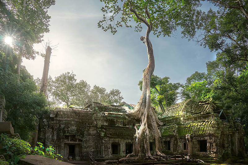 Sunrise over Ta Prohm at Angkor Wat in Siem Reap, Cambodia