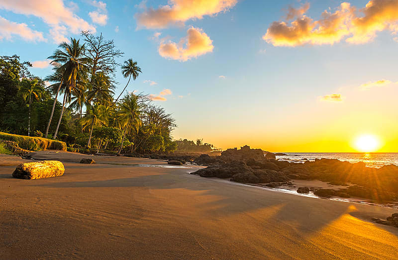 Enjoy the serenity of the Caribbean coastline and give your family a great natural experience in Costa Rica.