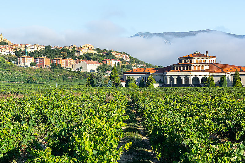 Rioja Alavesa is a world-renowned wine-growing region in Spain, where everyone can enjoy exactly the wine they like.