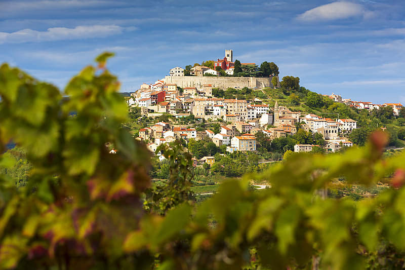 Croatia for Couples Vacation - Istria Vineyards Vineyards surrounding hilltop village of Motovun