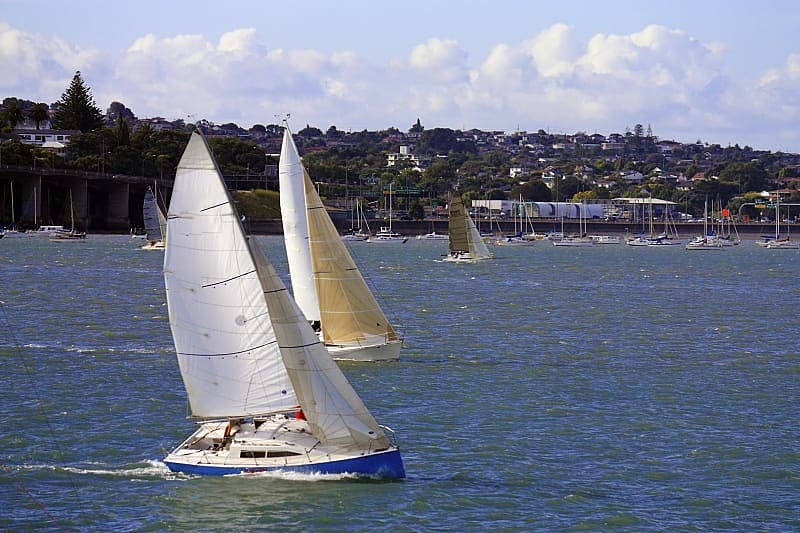 Auckland, New Zealand, yachts in Tamaki River harbor