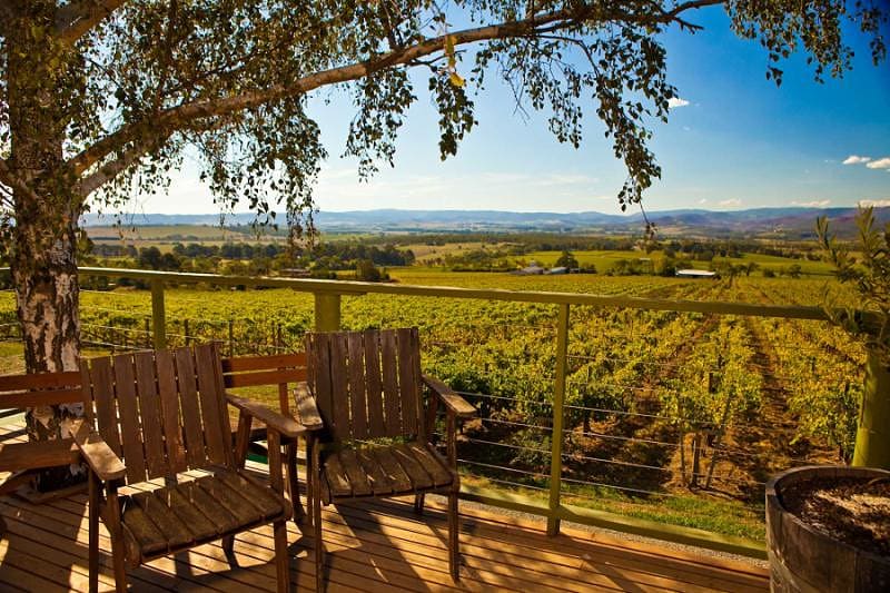 Vineyard view, a private farm in one of New Zealand's wine regions