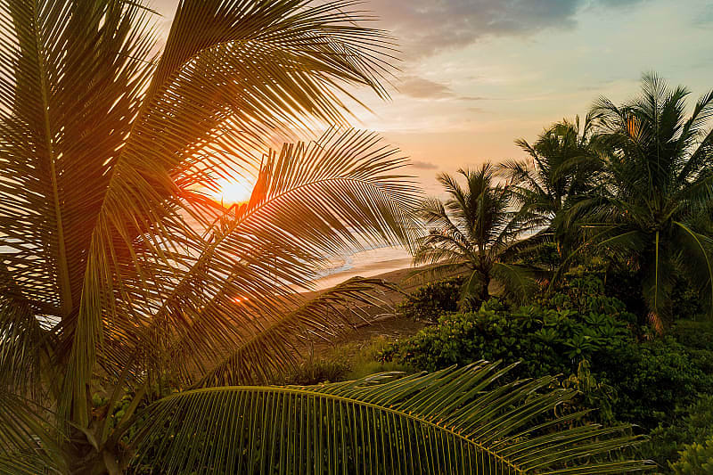 Enjoy comfort and luxury as you watch the pristine jungle connect to the sea, Costa Rica