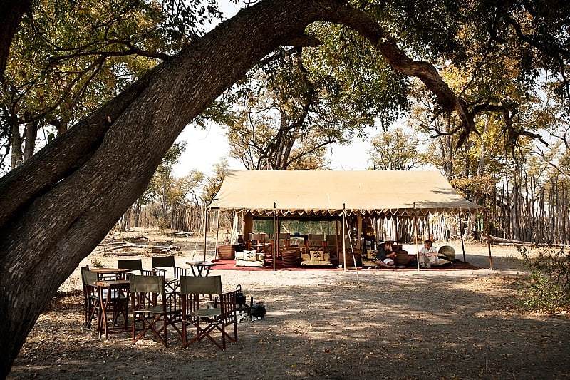Selinda Explorer's Camp in Botswana. Photo courtesy Great Plains Conserevation Selinda Explorer's Camp in Botswana