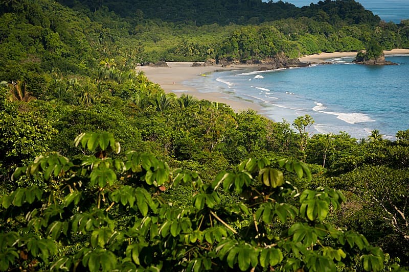 Costa Rica is renowned for its extensive rainforest and pristine beaches. Manuel Antonio Beach National Park