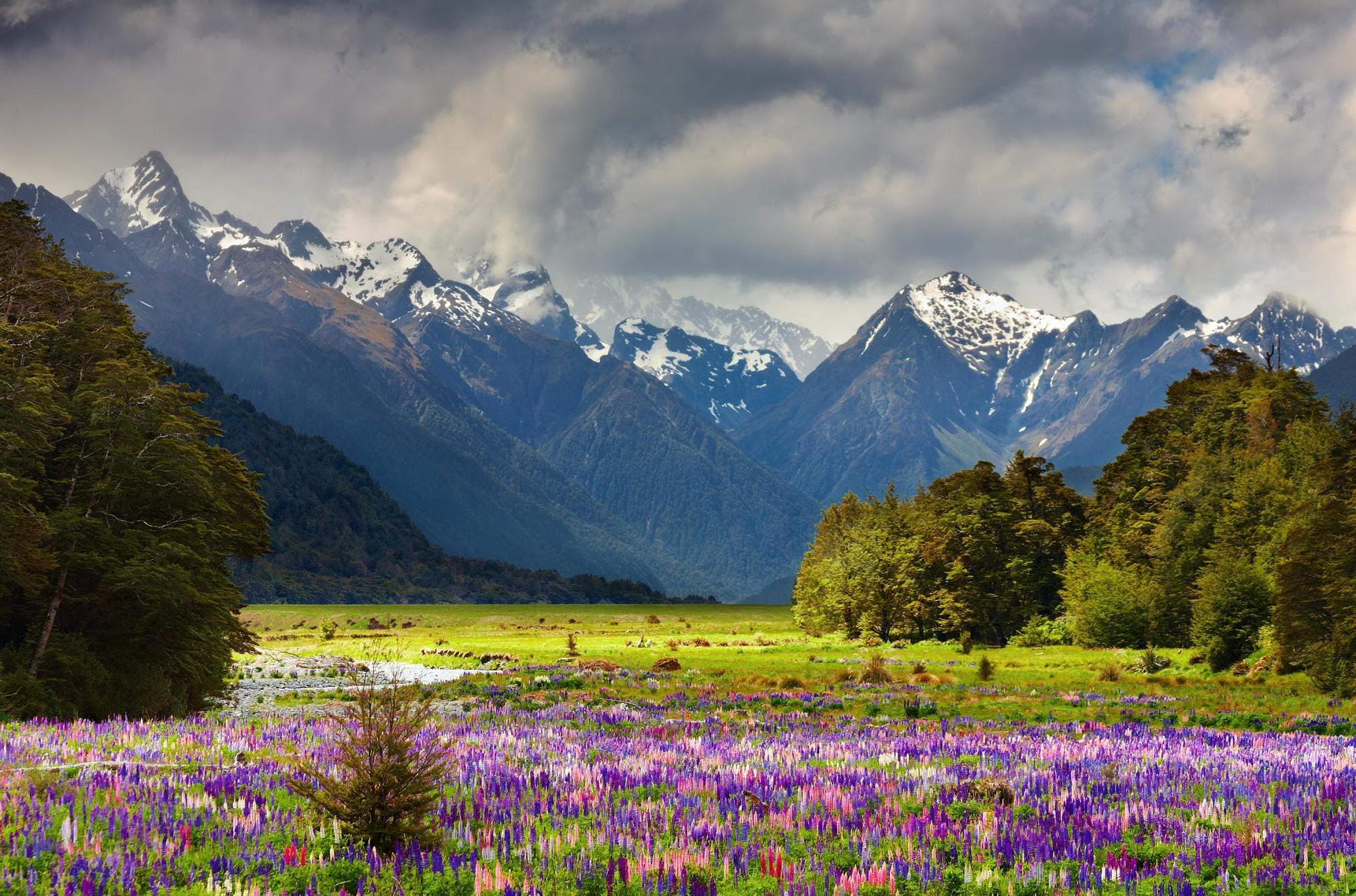 Beautiful landscape of the South Island, New Zealand