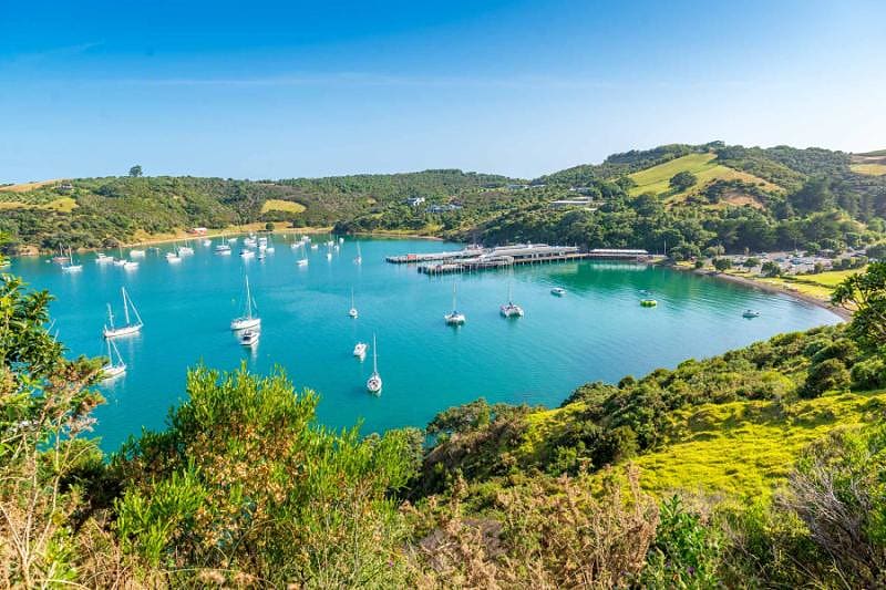 Visit the stunning Waiheke Island