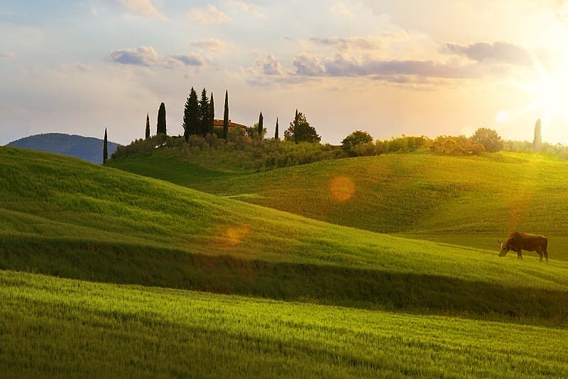 Enjoy beautiful views of the Tuscan hills.