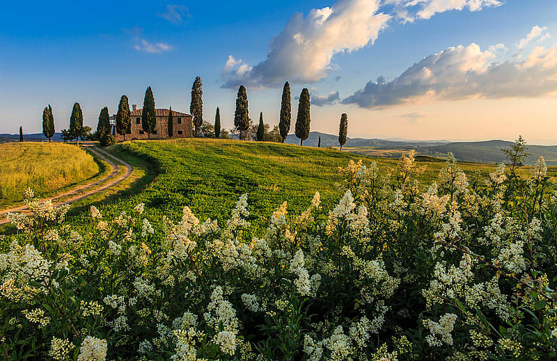 House surrounded by green fields and cypress trees in Tuscany, Italy