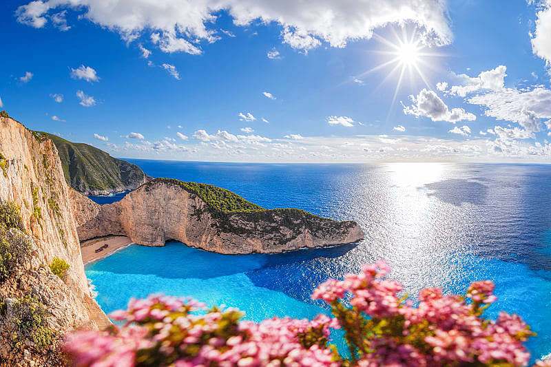 Navagio beach with shipwreck and flowers on Zakynthos island in Greece.