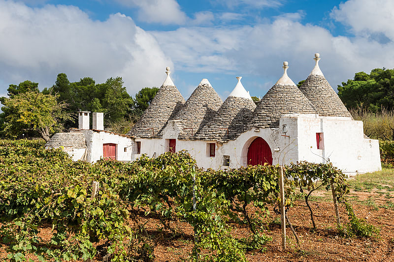 Vineyard with trulli house in Alberobello, Puglia Region, Italy