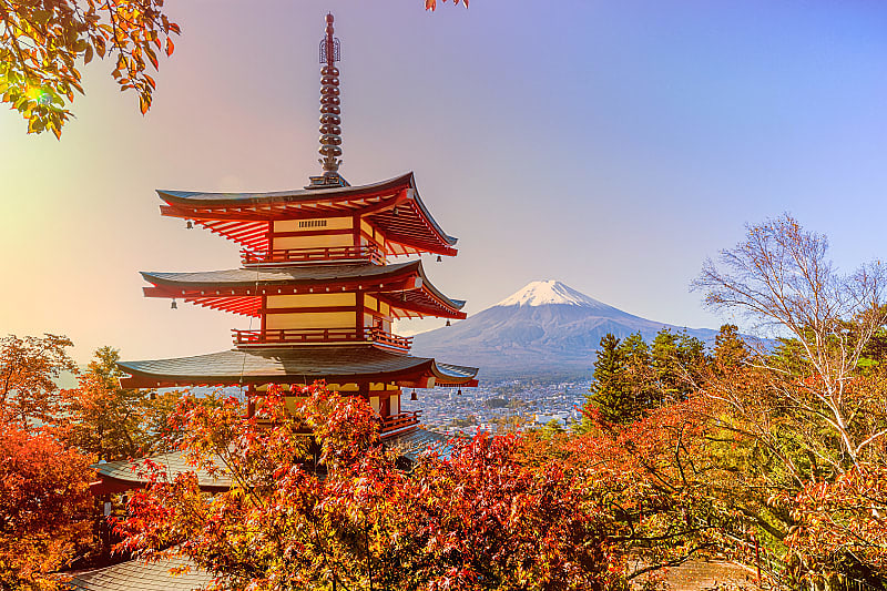 Chureito pagoda with autumn trees and Mt Fuji in the distance