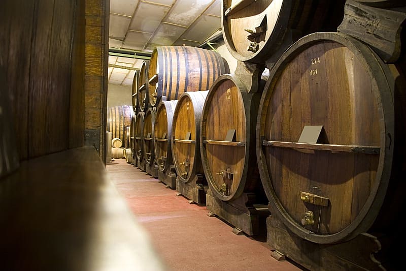Barrels in Mendoza wine cellar
