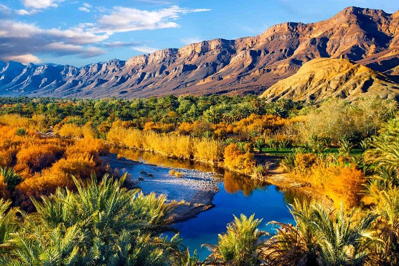 Date palms and blue river in one of the largest oases in Morocco