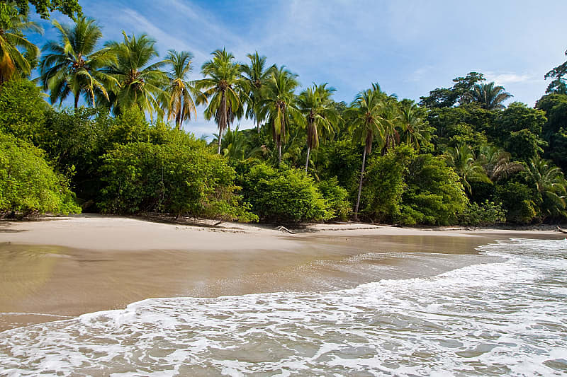 Beach meets rainforest in Costa Rica.