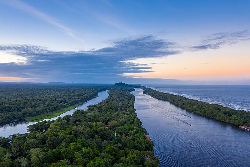 Stunning jungle along the Caribbean coast and the Tortuguero River. Tortuguero National Park, Costa Rica