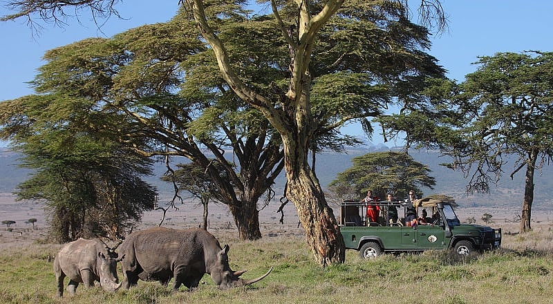 Sirikoi game dive at Lewa Conservancy, Kenya. Photo courtesy of Sirikoi Sirikoi game dive at Lewa Conservancy, Kenya