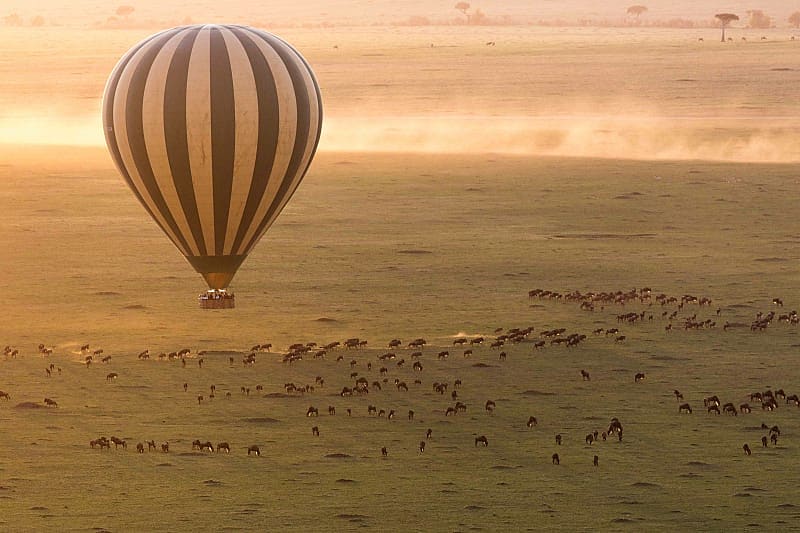 Admire the herd's stunning patchwork quilt from above on a hot air balloon safari at sunrise.