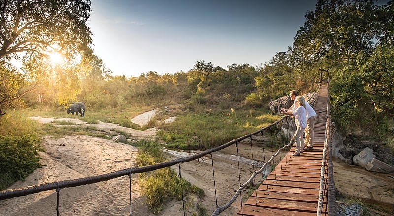 Luxury South African Safari - Dulini Lodge Watching elephants from the bridge at Dulini Lodge in South Africa