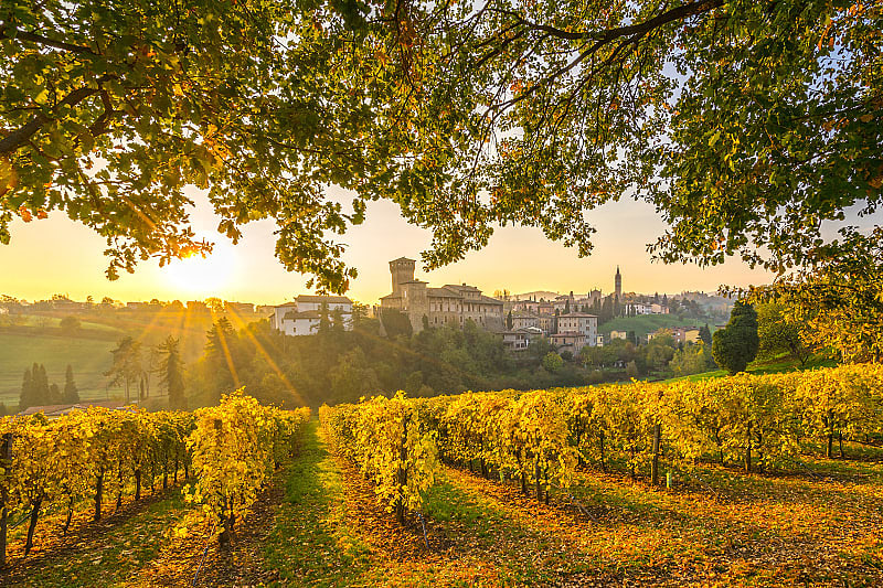 Italy Food & Culture Tour for Seniors: Turin to Bologna Italian Vineyard in Modena during sunrise
