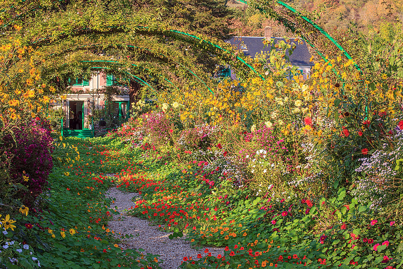 Walk through the gardens of Monte in Giverny for a moment when tangible plants meet the artist's colorful works.