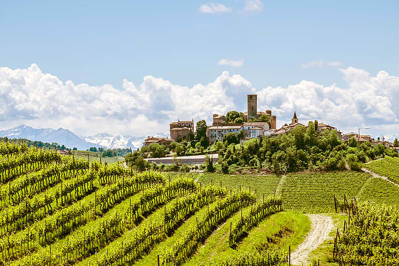 Vineyards in Langhe region of Piedmont with the castle of Castiglione Falletto in Italy.