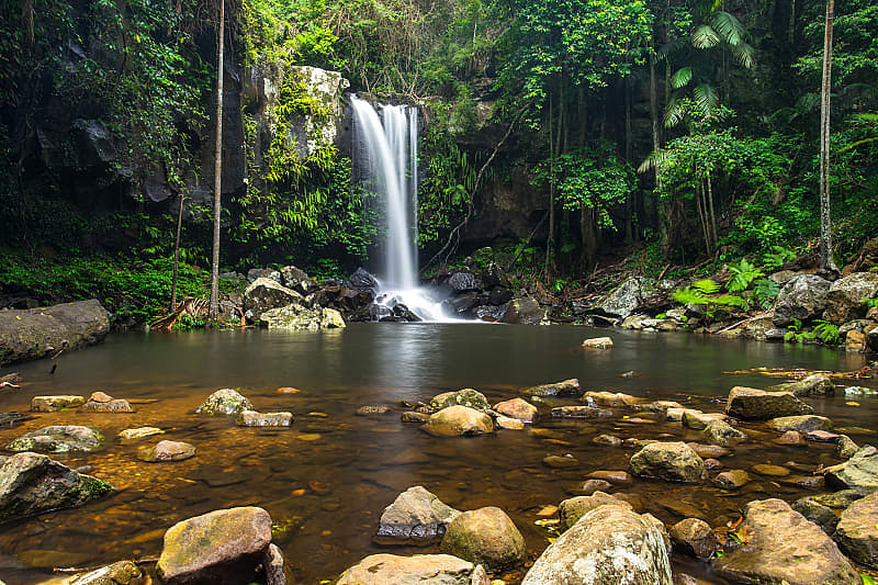 Curtis Falls, a waterfall in Tamborine National Park on Mount Tamborine in the Gold Coast, Australia