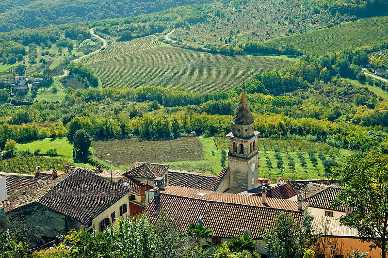 Medieval Motovun surrounded by vineyards in Croatia
