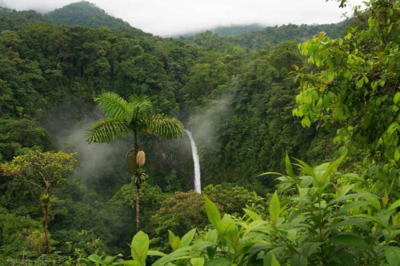 Enjoy beautiful views of the enchanting La Fortuna Falls.