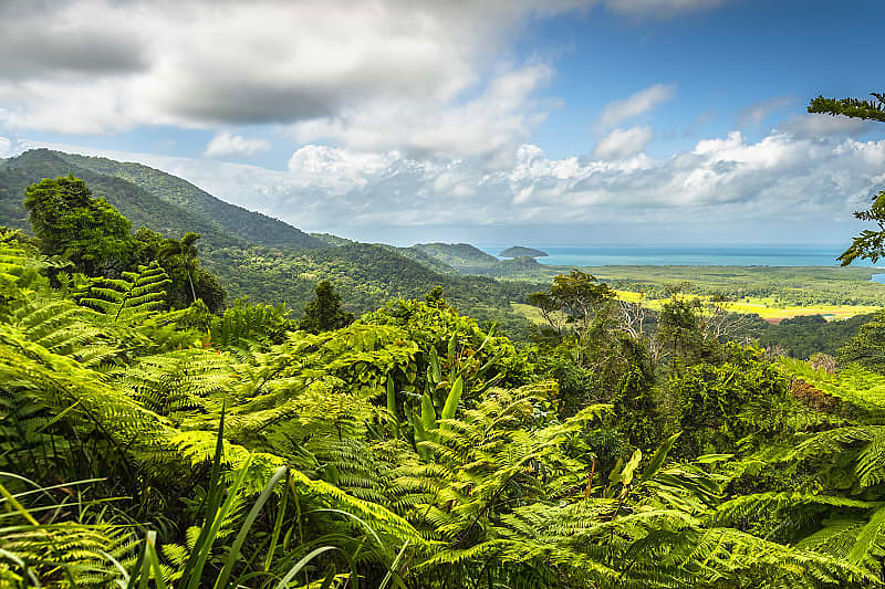 Discover the world's oldest rainforest, Daintree National Park.
