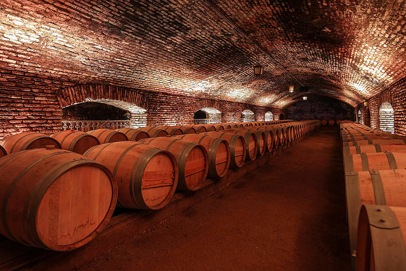 barrels with aged wine in the cellar of a wine farm, Chile