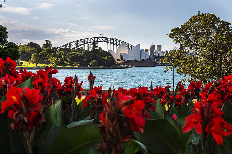 Sydney Harbor and Opera House from the Botanic Gardens in Sydney, Australia.
