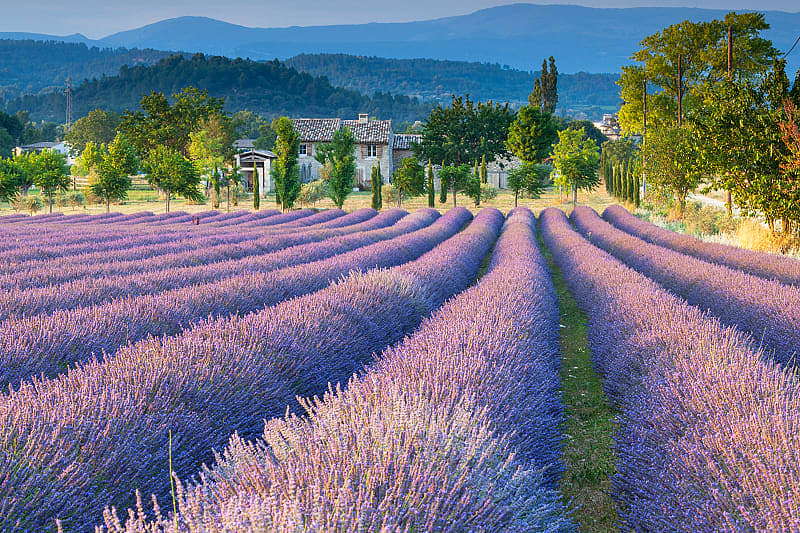 Spend two days enjoying the leisurely pace and undeniable beauty of life in Provence, France