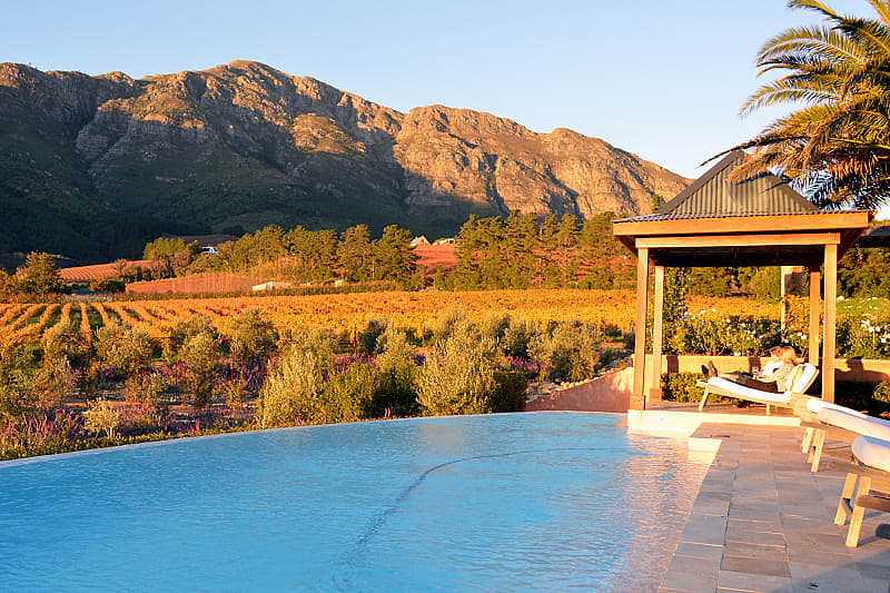 Cape Winelands in South Africa