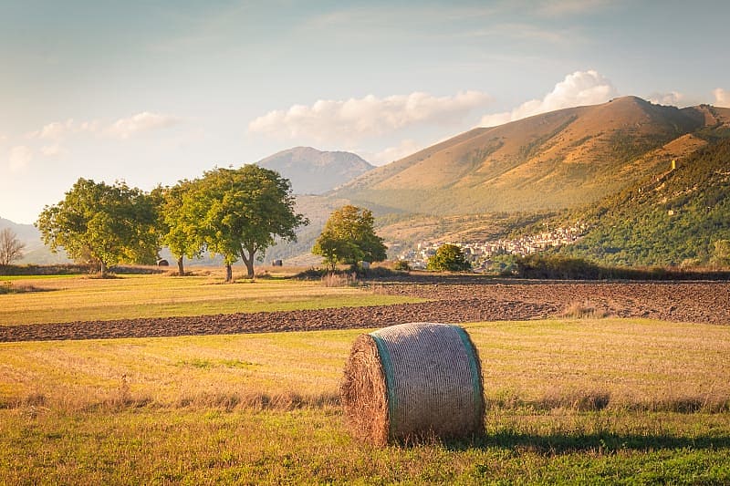 Find a dairy farm in the hills of Abruzzo that produces ricotta cheese.