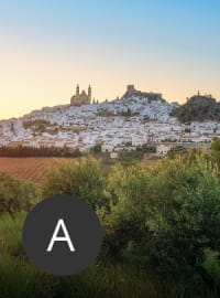 Travel agent Anthony in Spain
