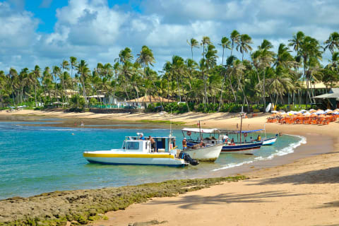 Praia do Forte in Brazil 