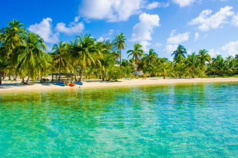 Turquoise water along stretch of sand beach with palm trees